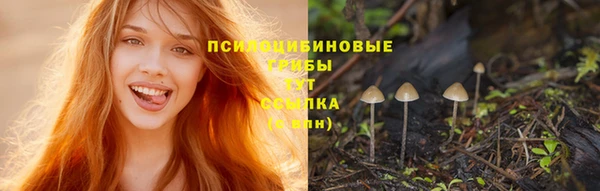 гашик Заволжск