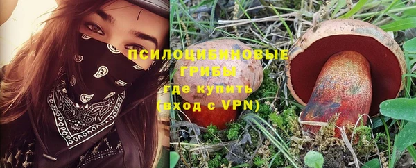 ALPHA PVP Ельня