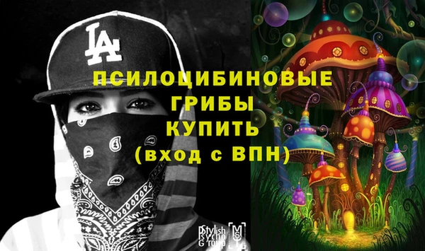 трава Елизово