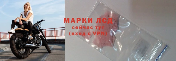 трава Елизово