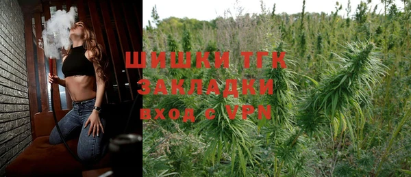 ALPHA PVP Ельня