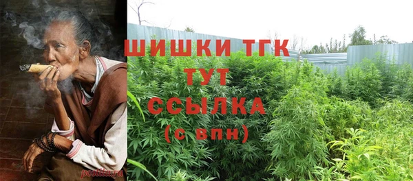 дурь Заводоуковск