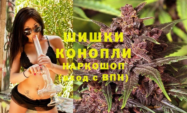 трава Елизово