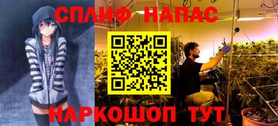 наркотики Кандалакша