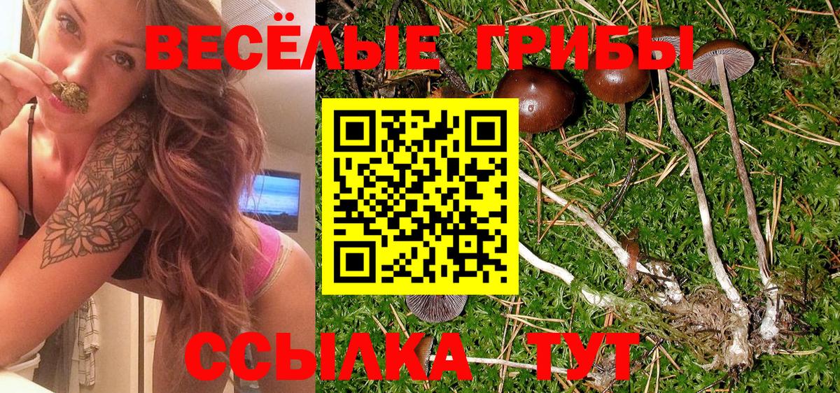 Галлюциногенные грибы ЛСД  как найти закладки  Кизляр  Вход с VPN 