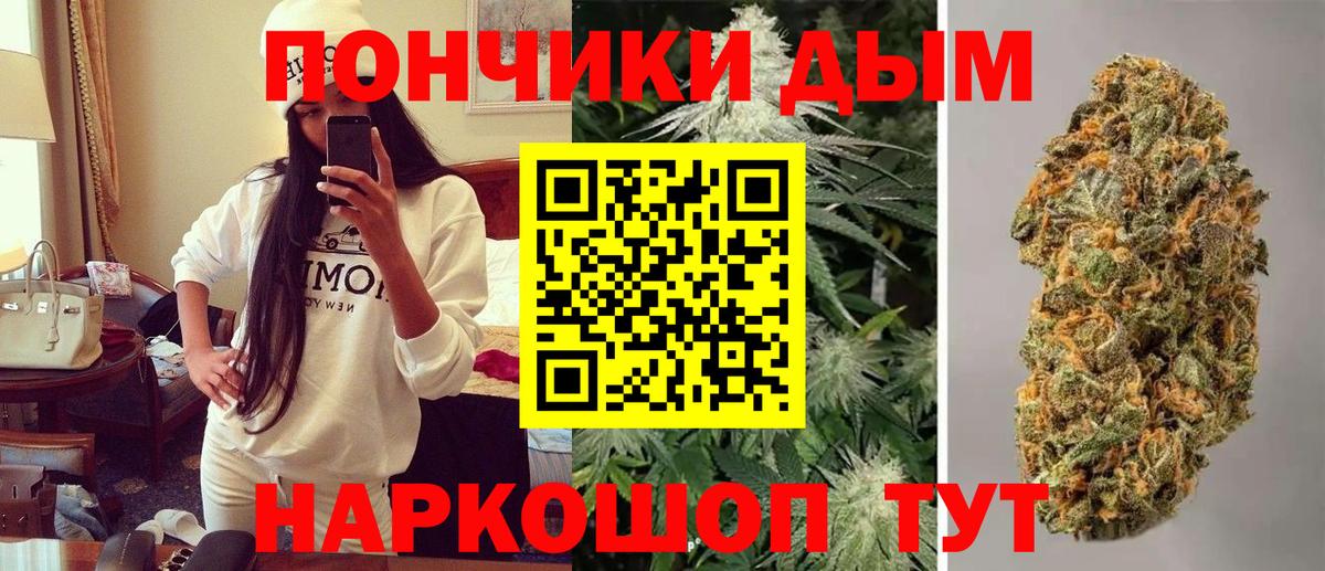 Шишки марихуана марихуана Кизляр